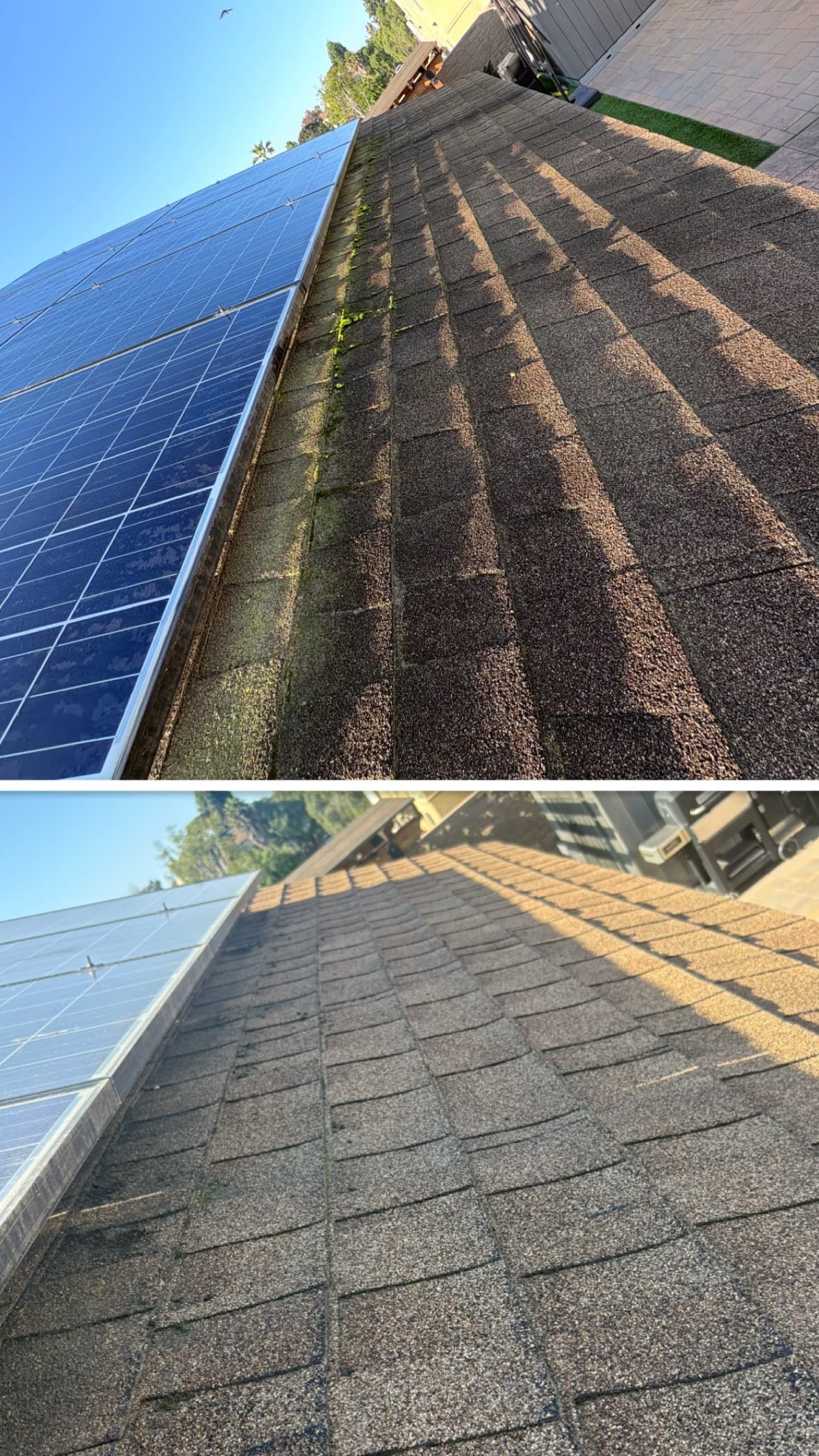 Before and after of a roof edge cleared of moss beside solar panels in El Cajon