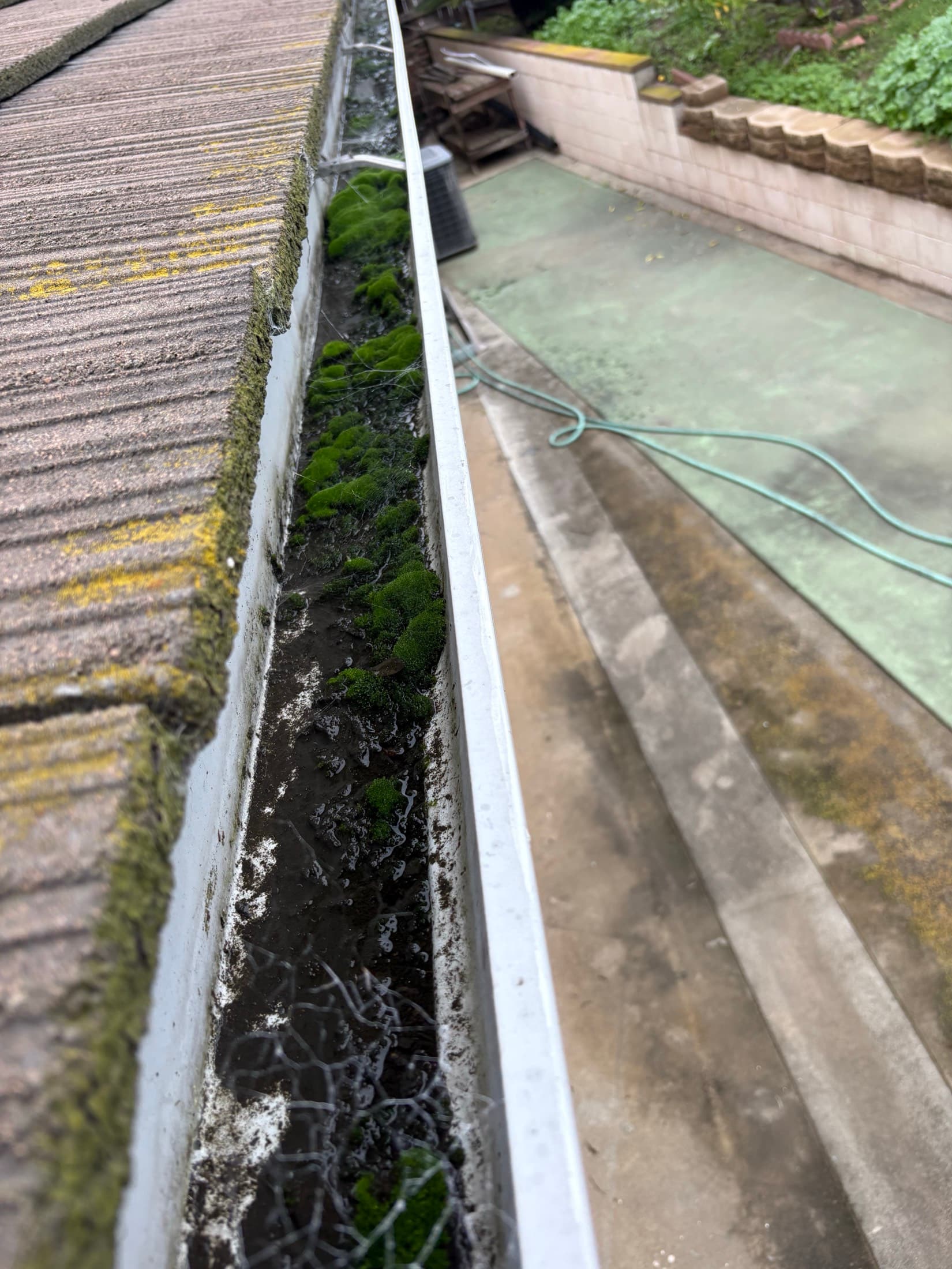 Gutter packed with moss and debris before a gutter cleaning in El Cajon